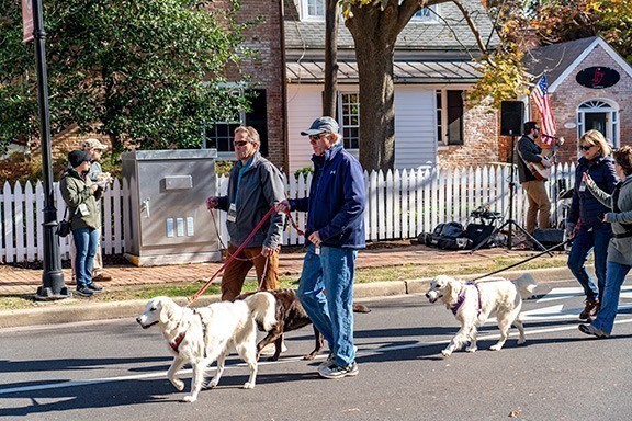 Dogs at the Festival